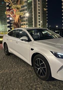 بي واي دي كوين L DM-i